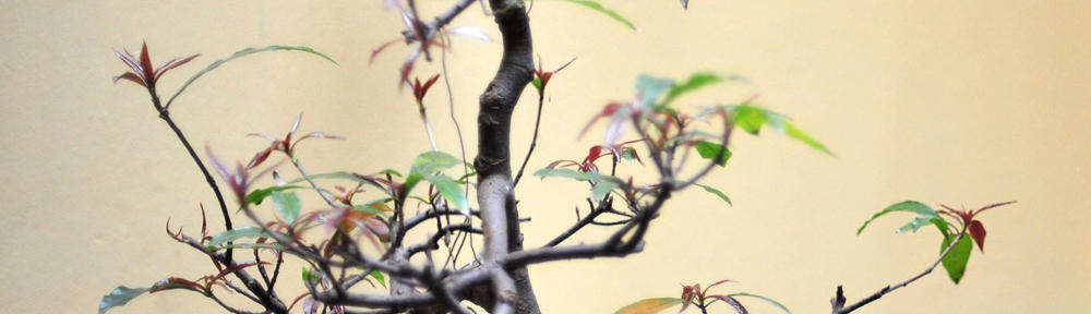 Big Jakarta Agen Berita Terkini